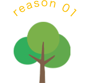 reason01