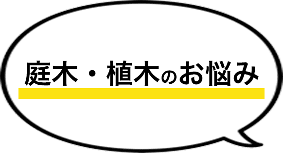 庭木・植木のお悩み